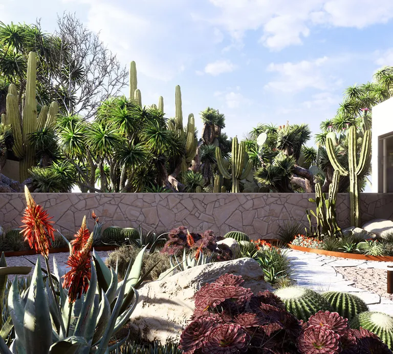 landscape-rendering-dry-garden